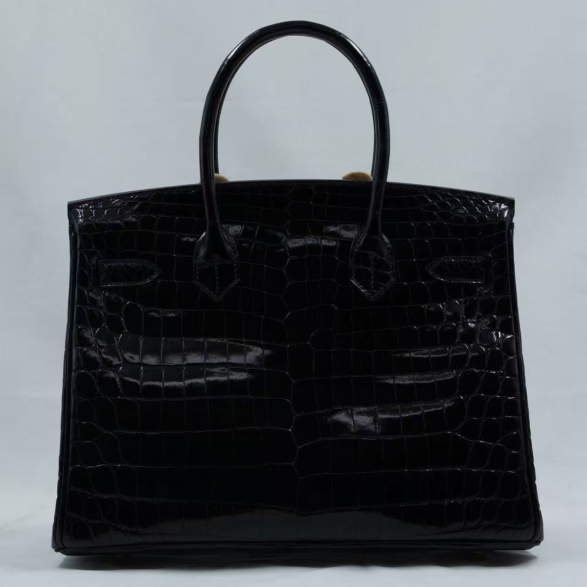 Bk30 BlackShiny Nilo CrocodileGHW