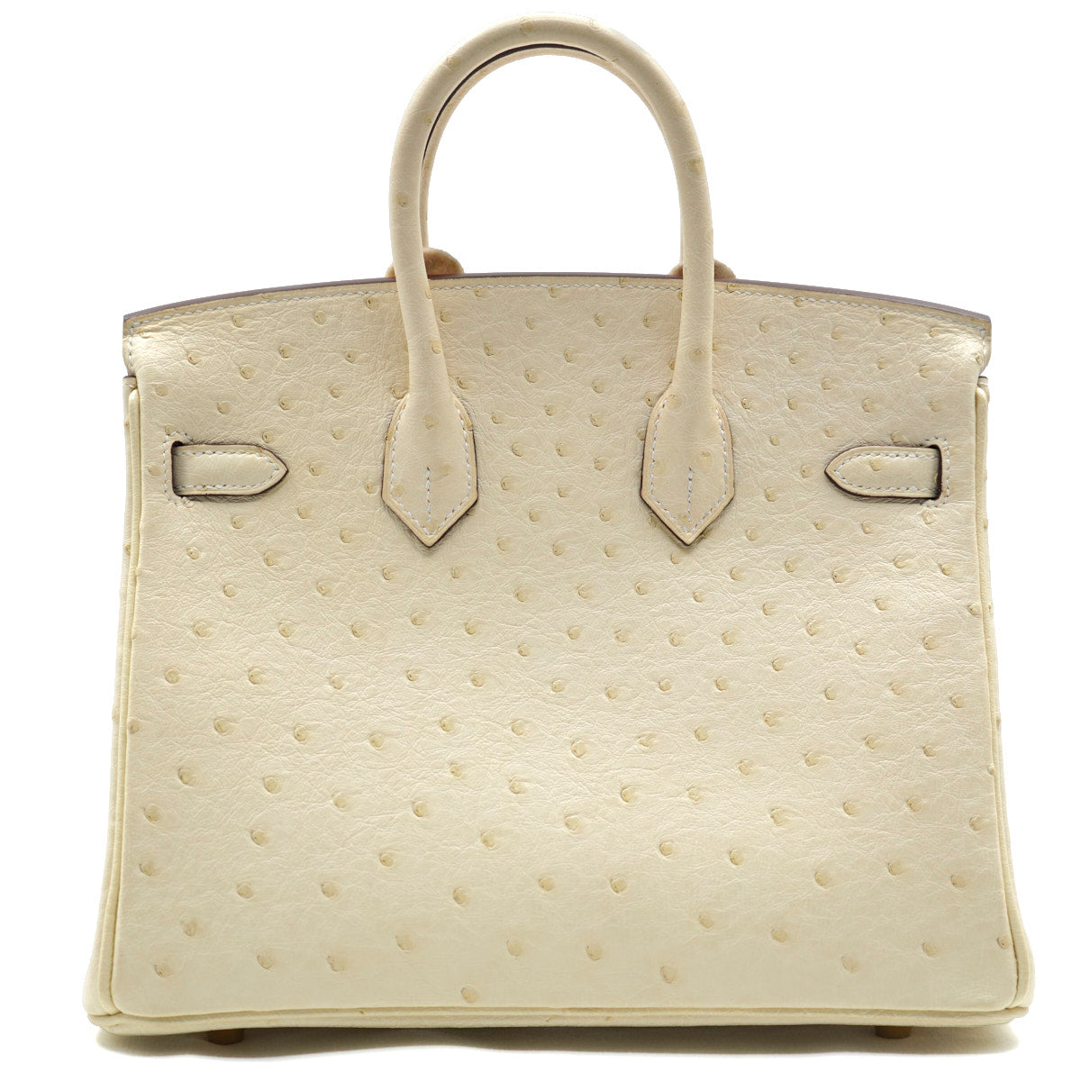 Hermès Birkin25 Nata/Ostrich/GHW