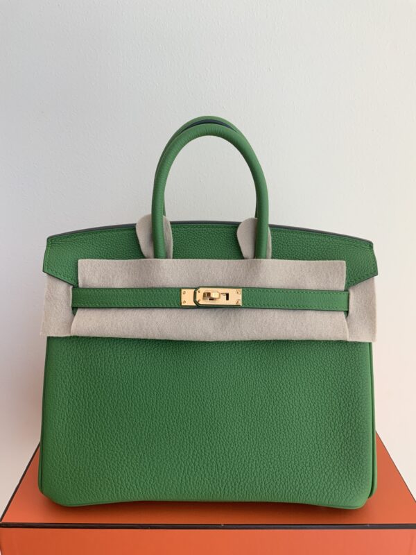 Birkin 25 Vert Yucca/Togo/Gold Hardware