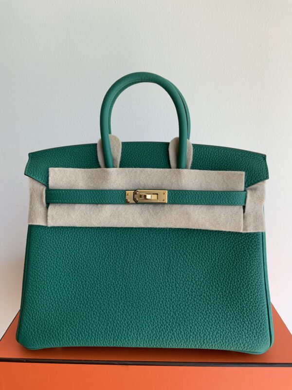 Birkin 25 Vert Vertig/Togo/Gold Hardware