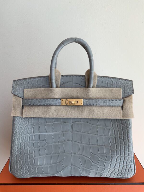 Birkin 25 Gris Perle/Crocodile/Gold Hardware